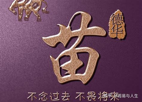 金水 苗字|金水姓